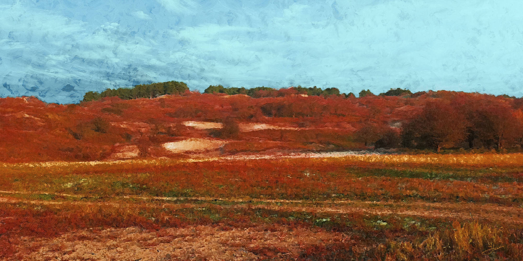 Ivo Hendriks Art - Heathland